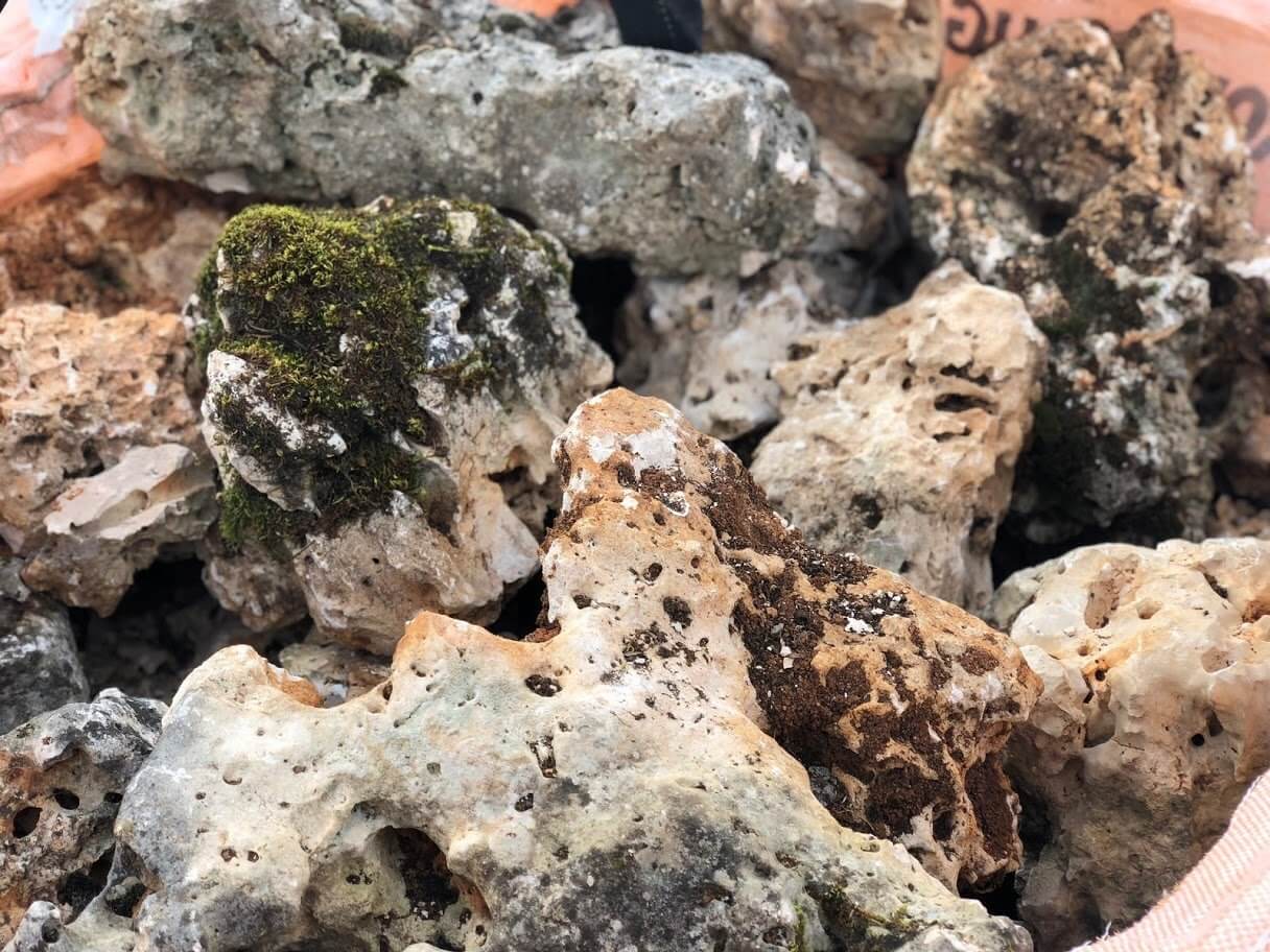 Rocalla y piedra de mar con agujeros