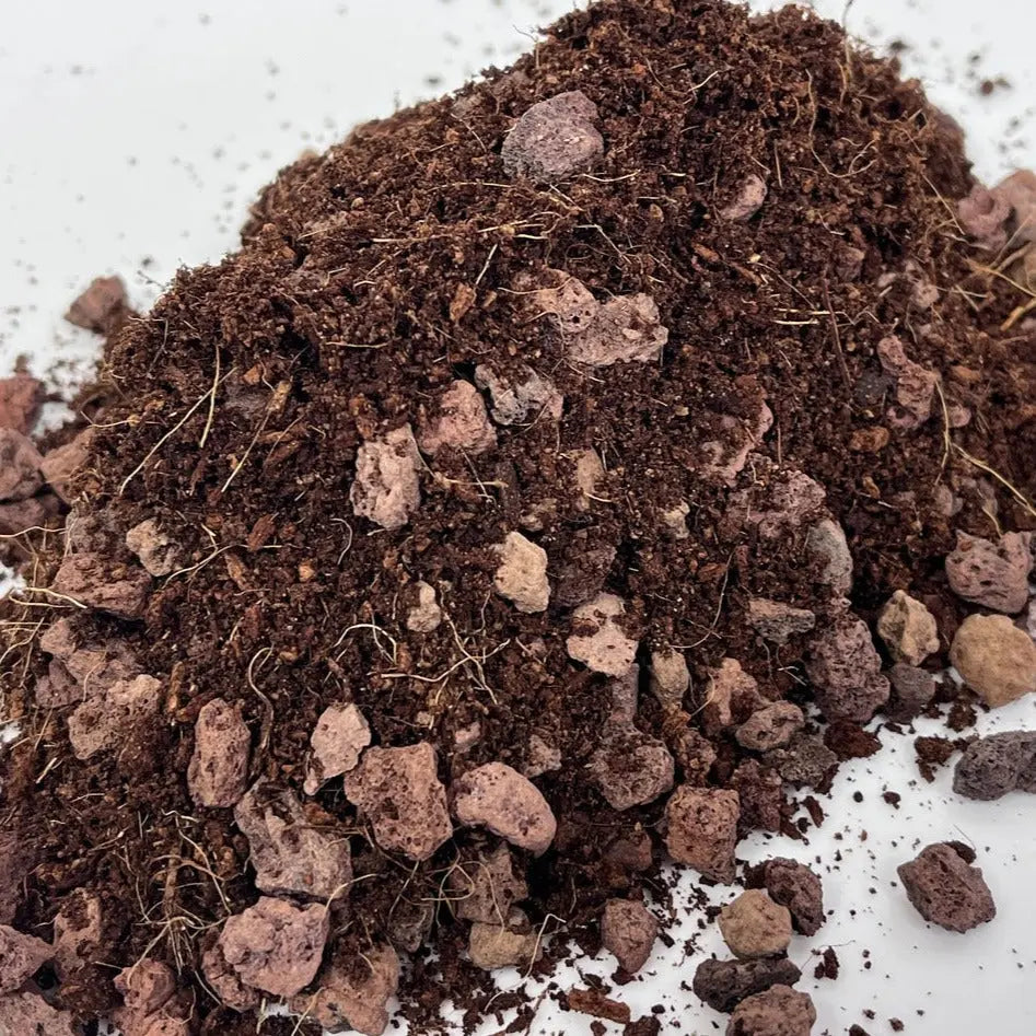 Refrco De Coco Puro PNG Imágen Transparent - Pngtree