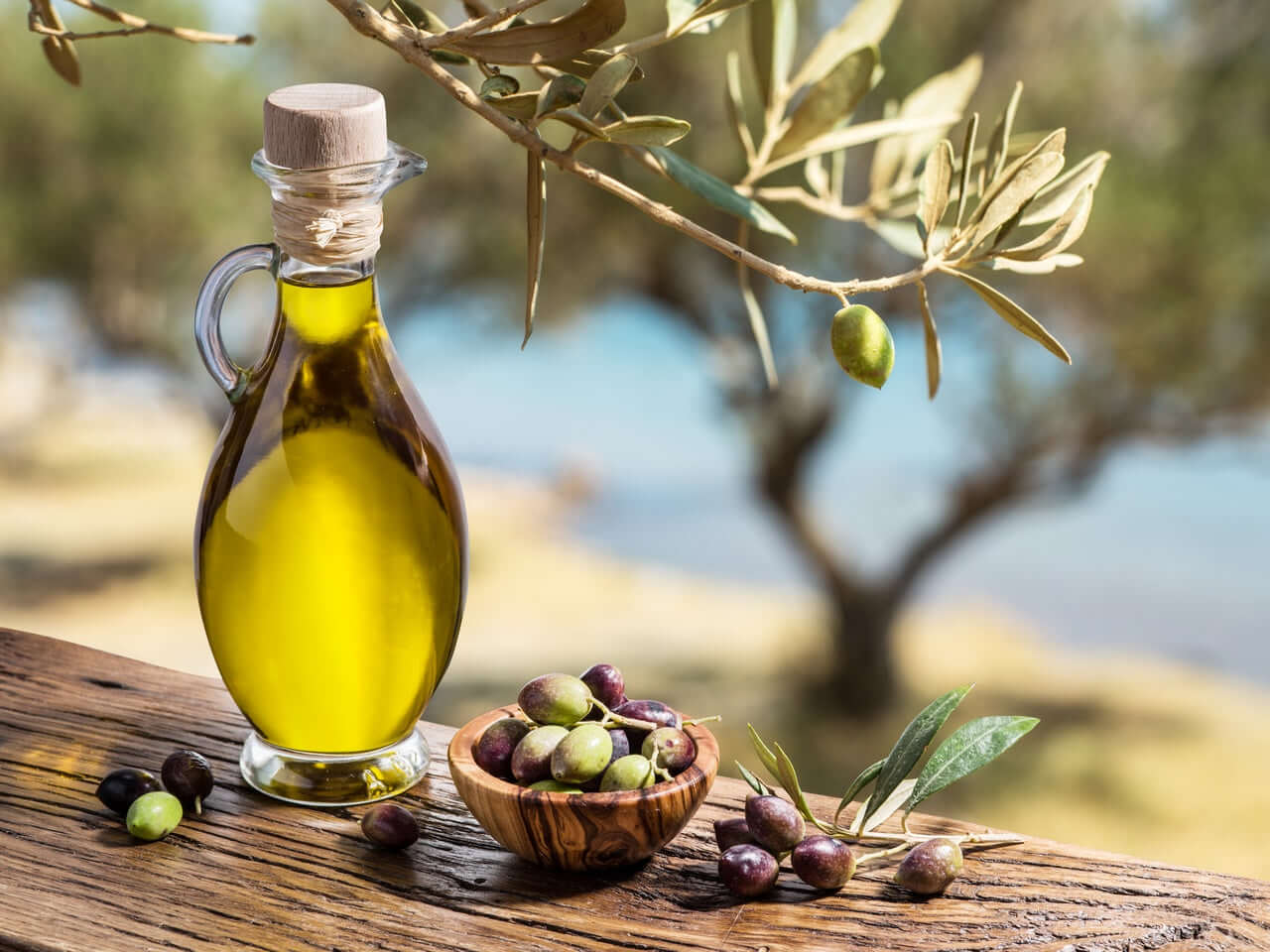 Como mejorar el sabor y tamaños de tus olivas