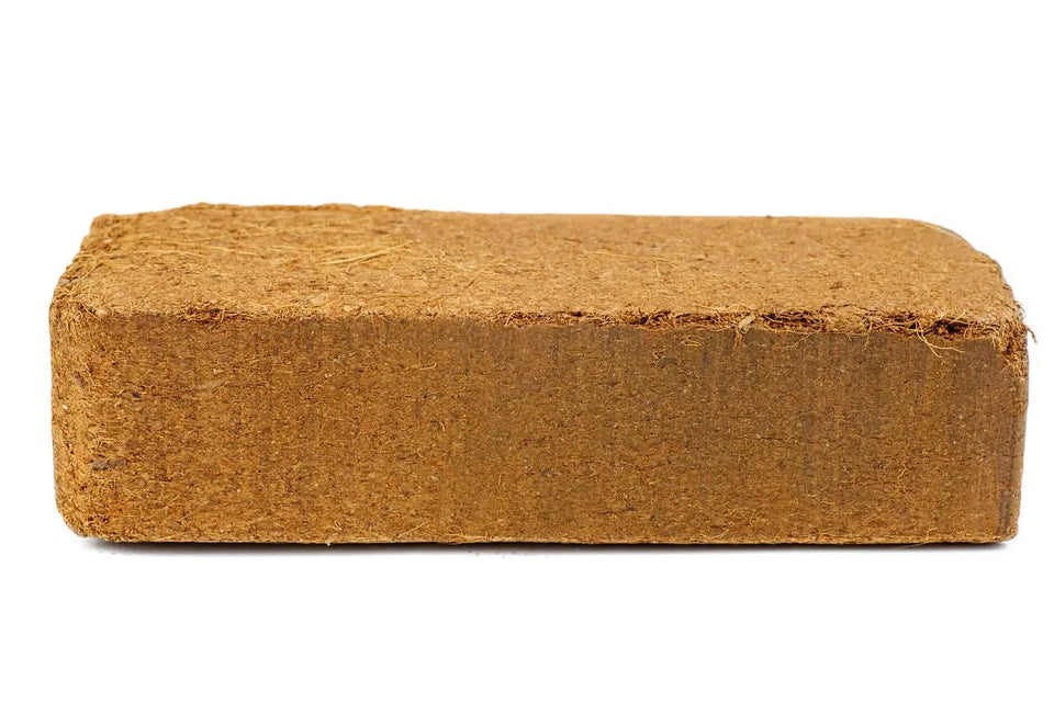 Comprar fibra de coco sustrato en bloque