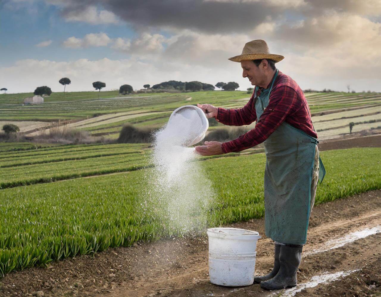 Como aplicar cal agricol calcio y magnesio dolomita