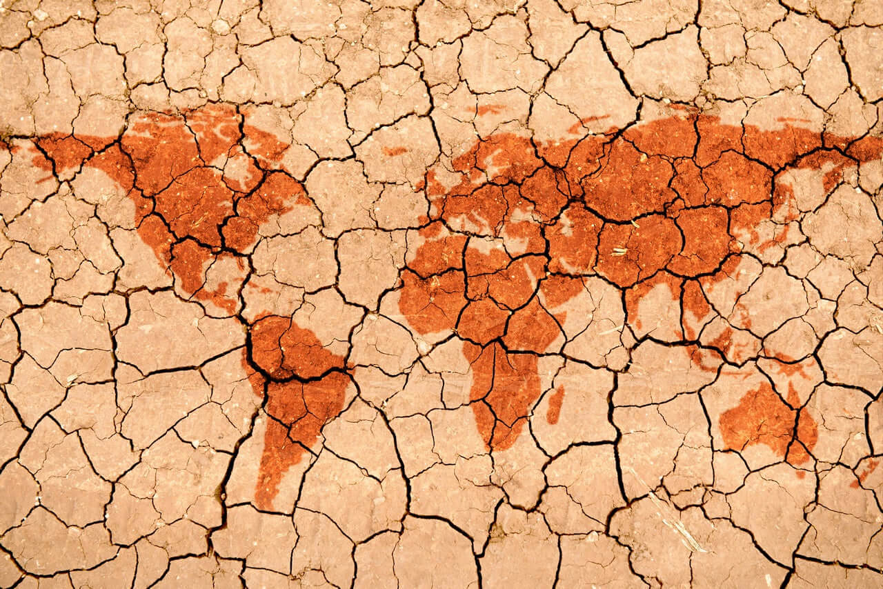 Problema mundial por la erosión degradacion del suelo