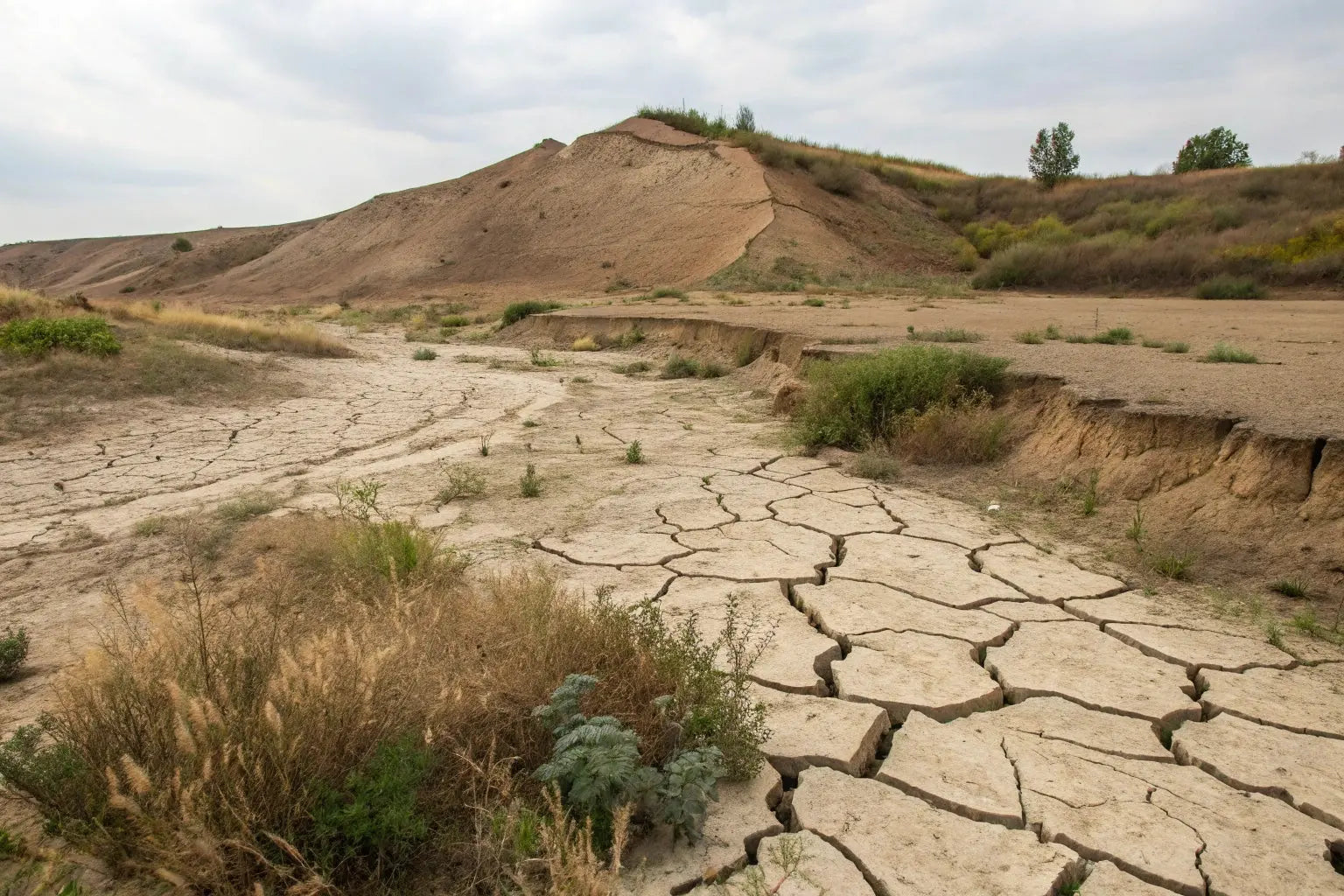 La-degradación-de-los-suelos-una-crisis-que-nos-afecta-a-todos Vetonek