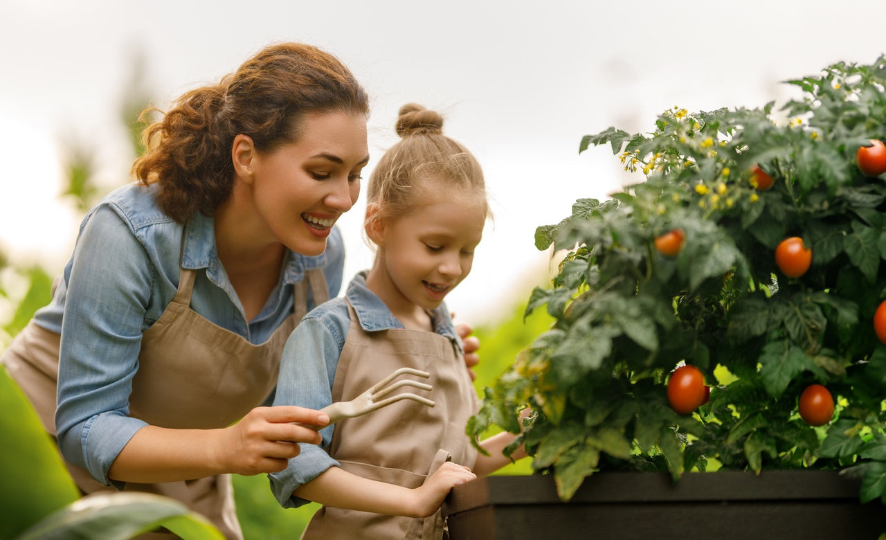 Productos para horticultura enmiendas agricolas harinas basalto