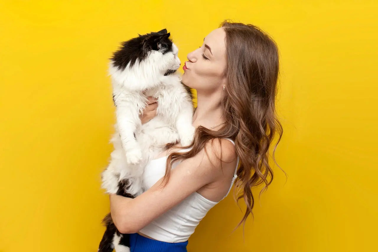 Gatos Vetonek