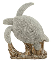 Tortuga brillante cm 19x10,5x22