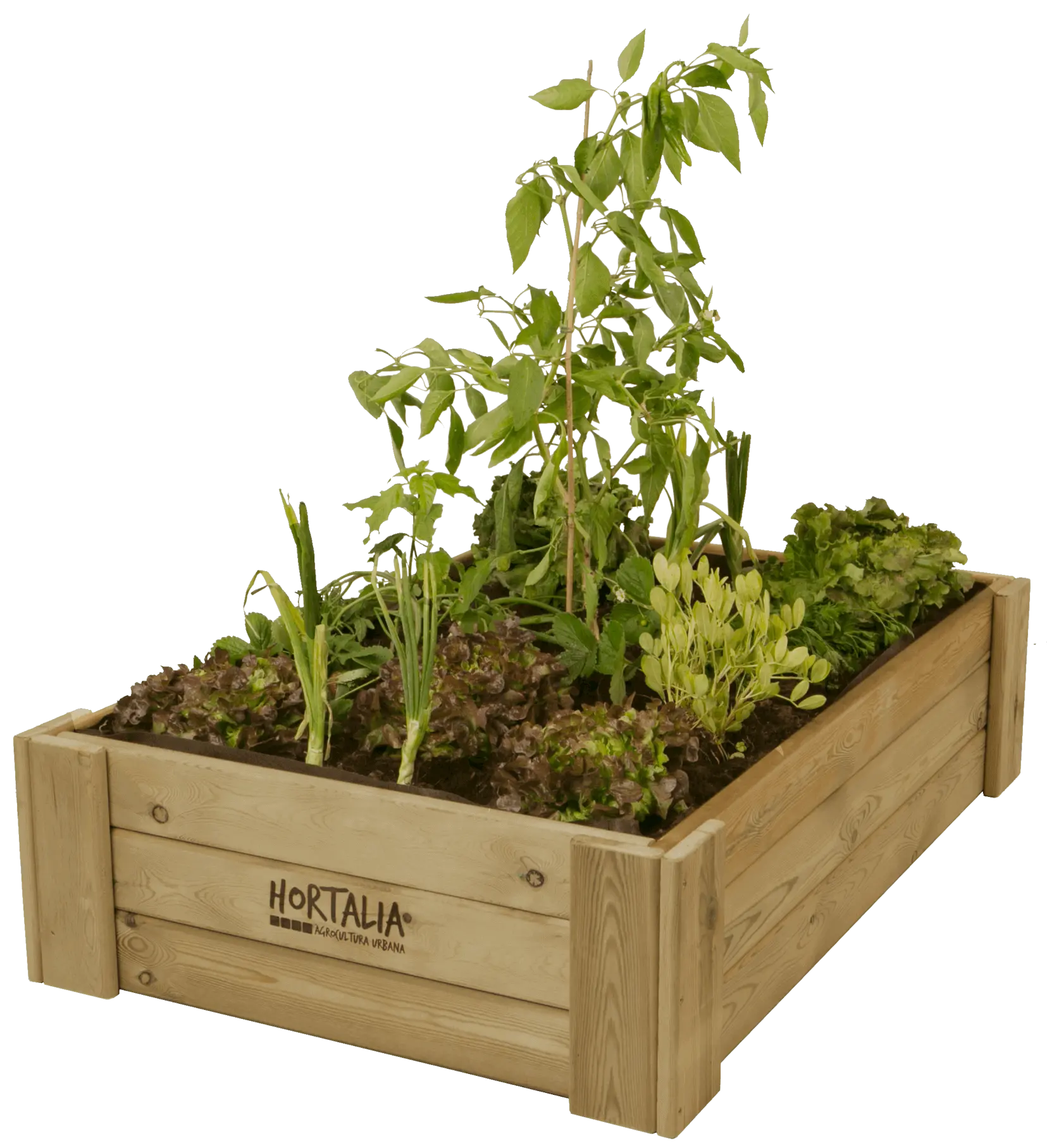 Cajón de Cultivo 120x80cm. 230L - Vetonek