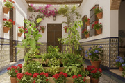 Cajón de Cultivo Escalera 210L - Vetonek