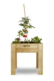 Mesa de Cultivo 80x60 cm. 80L - Vetonek