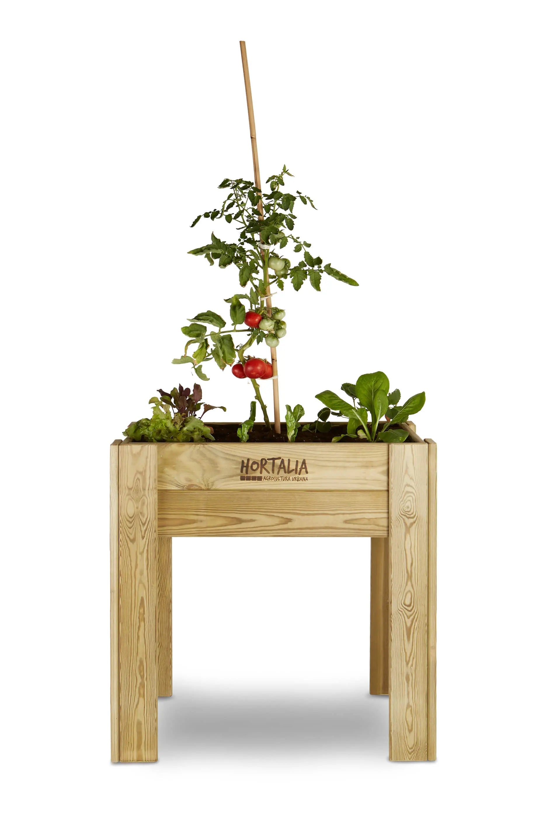 Mesa de Cultivo 80x60 cm. 80L - Vetonek