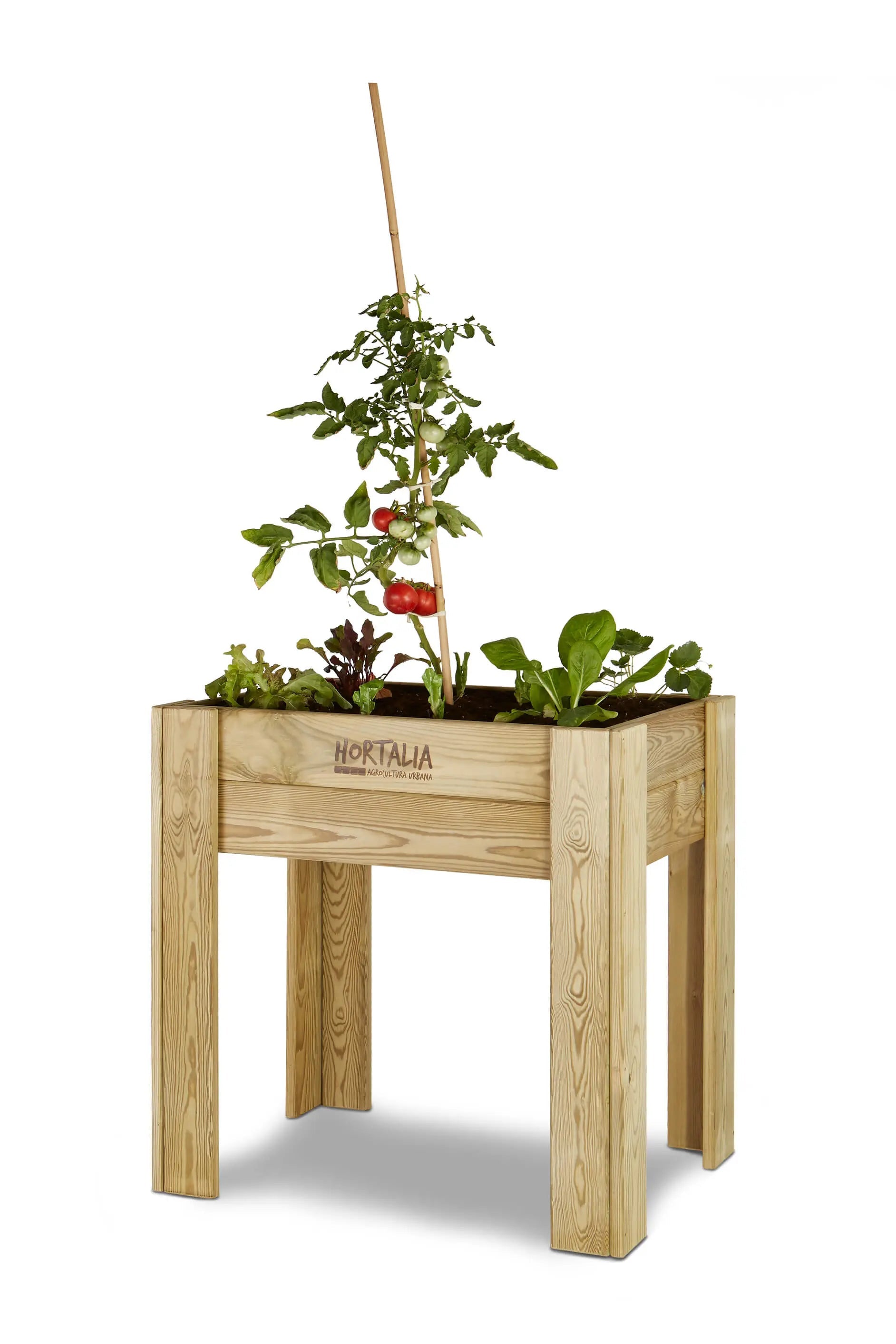 Mesa de Cultivo 80x60 cm. 80L - Vetonek