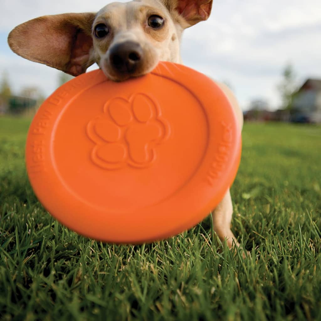 Zogoflex Frisbee para cães tamanho zisc L Orange 1937