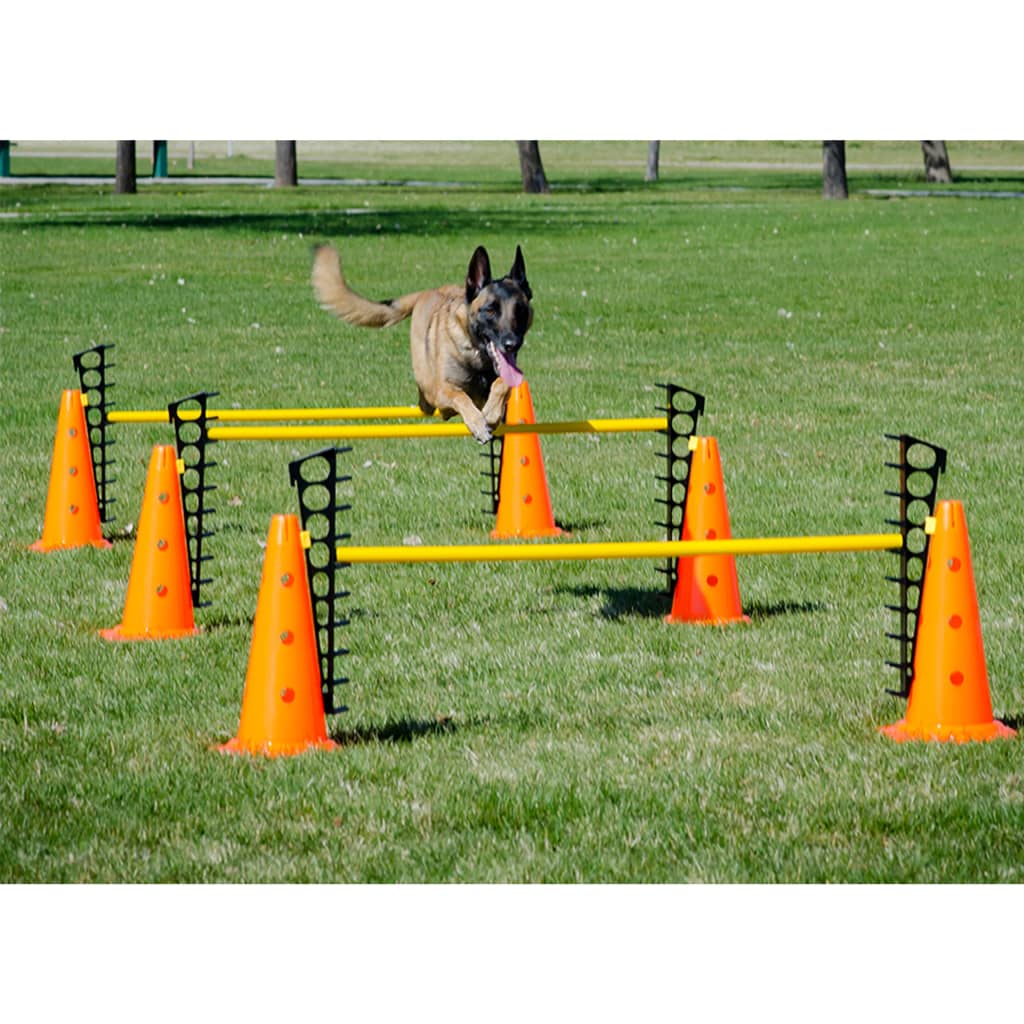 FitPAWS Juego de obstáculos