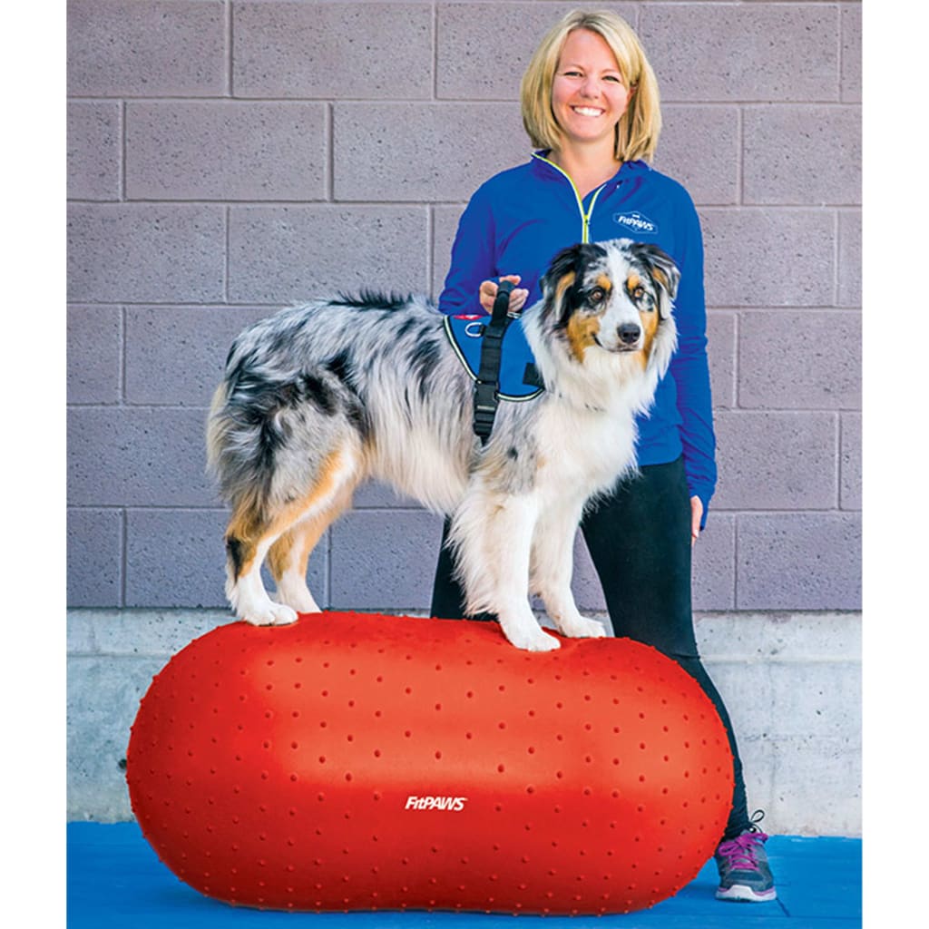 FitPAWS Plataforma de equilibrio para mascotas Trax Peanut rojo 50 cm