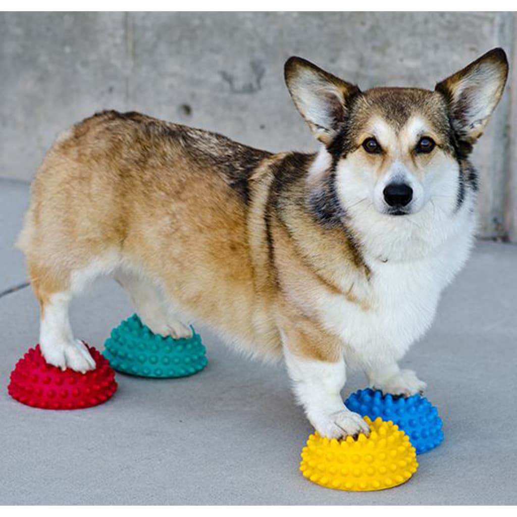 Vetonek Accesorios de equilibrio para patas de mascotas 4 unidades