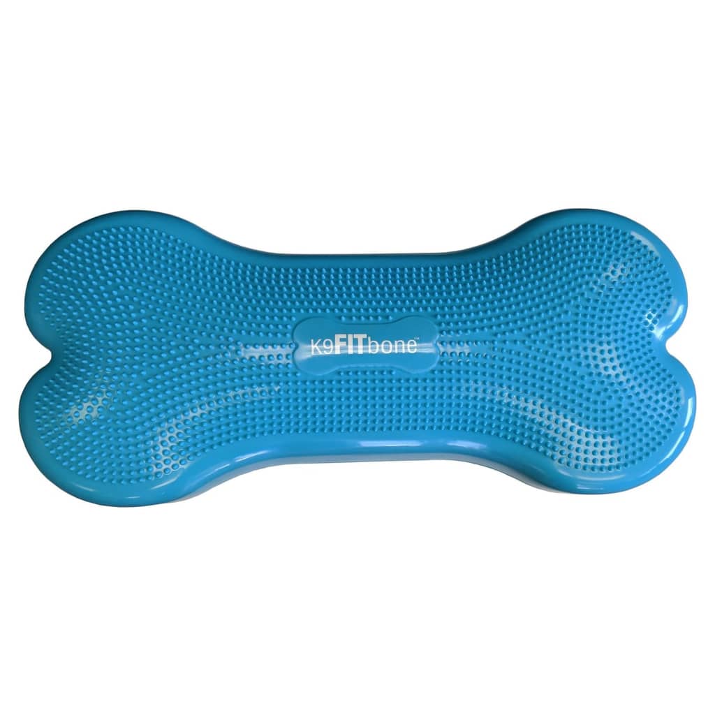 FitPAWS Plataforma equilibrio mascotas Giant K9FITbone PVC verde agua