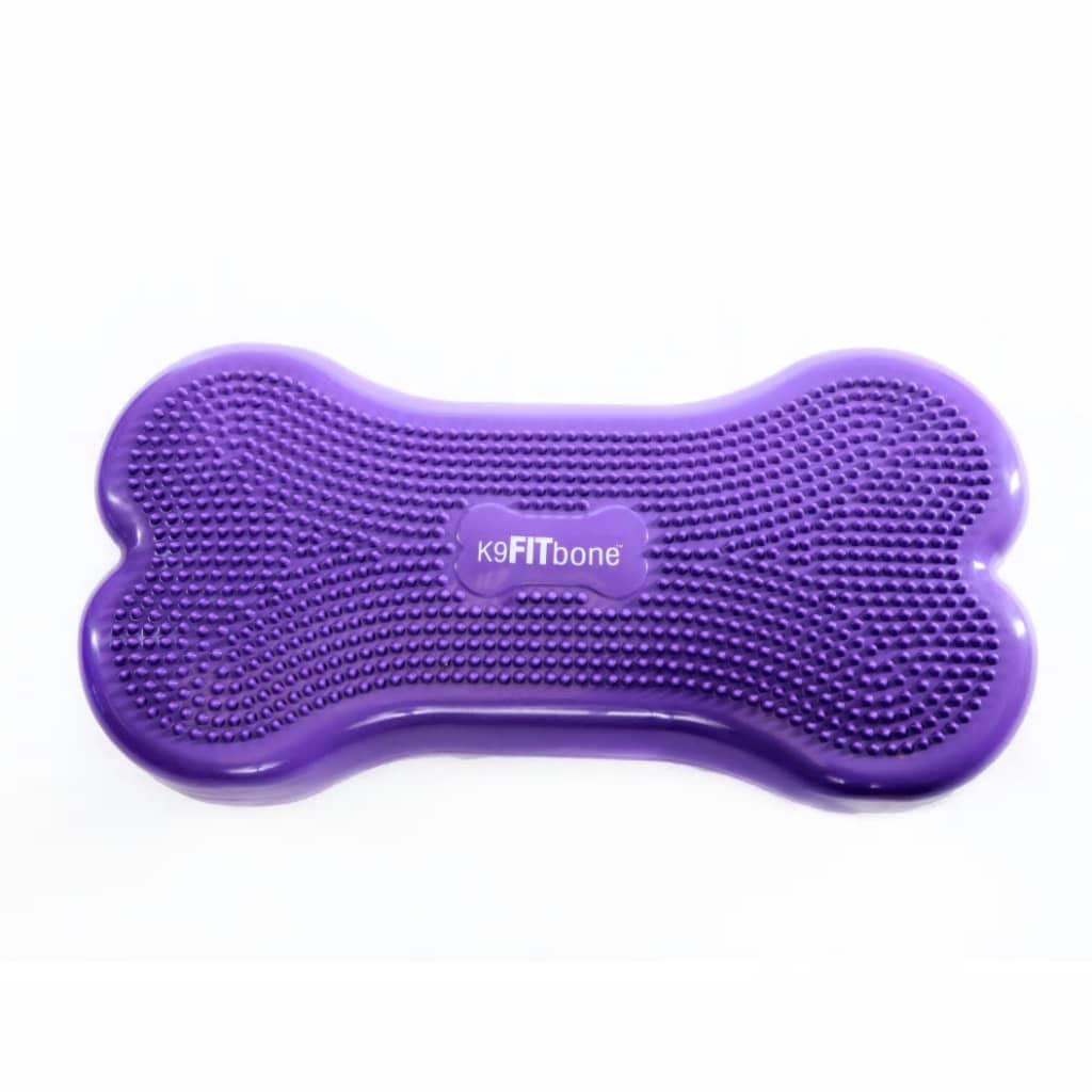 FitPAWS Plataforma de equilibrio mascotas Giant K9FITbone PVC morado