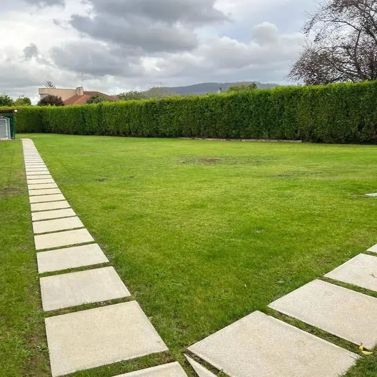 Losa Cuadrada 75x75 cm Vetonek