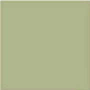 Keramikboden Faenza Moos 20x20 - Vetonek