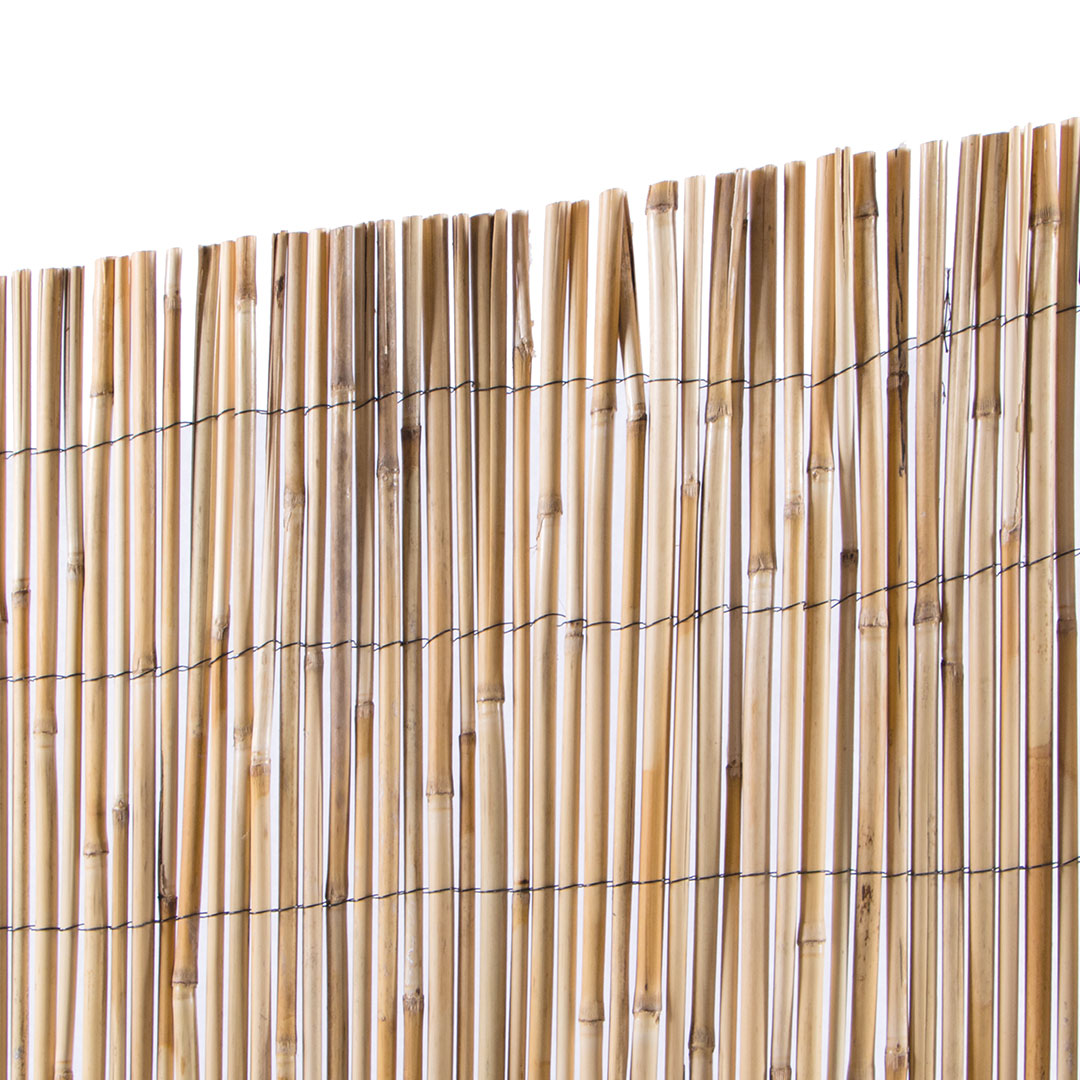 Cañizo Entero Varilla Media - Cañas Naturales y Ecológicas Vetonek