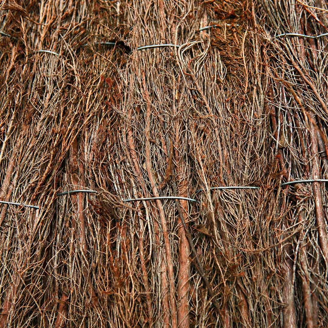 Manto de Brezo: Protección Natural para tu Mascota Vetonek