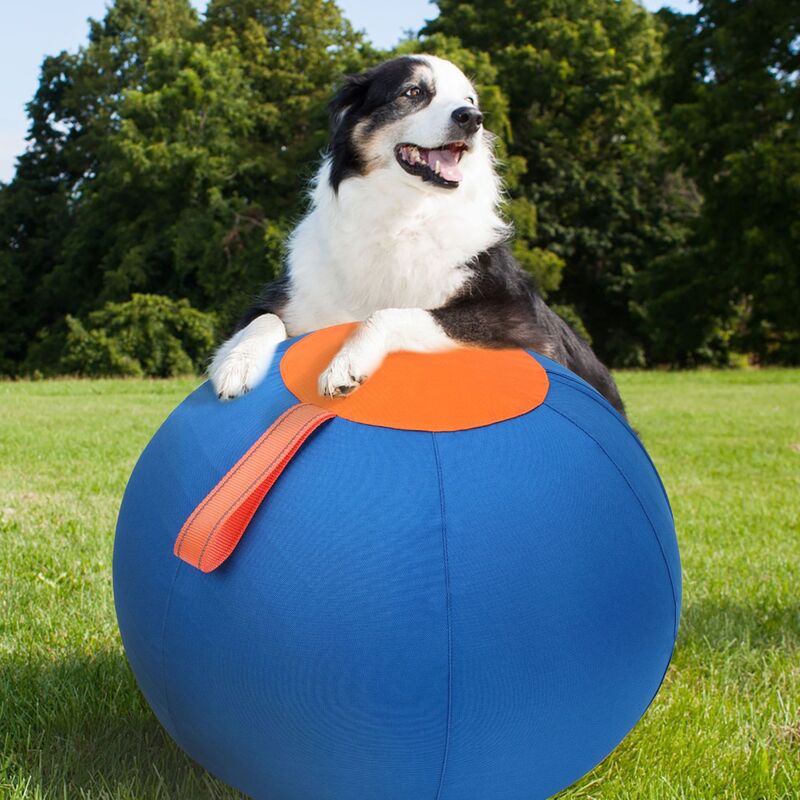 Indestructible Chew Ball for Dogs, Portable Floating Fetch Toy, Aggressive Chew Puppy Toy for Water & Outdoor Play - Vetonek