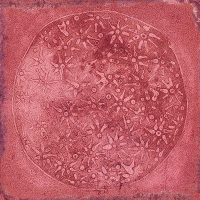 Fliese Volterra Peccioli Granat 20x20 - Vetonek