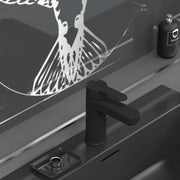 Grifo mezclador de lavabo elephant negro mate v2160 - Vetonek