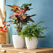 LECHUZA Macetero Classico Color 28 ALL-IN-ONE blanco brillante 13190 V1904 Vetonek