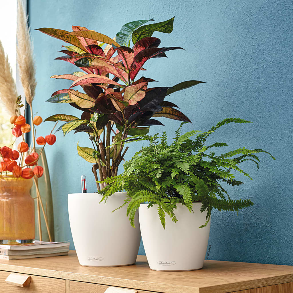 LECHUZA Macetero Classico Color 28 ALL-IN-ONE blanco brillante 13190 V1904 Vetonek