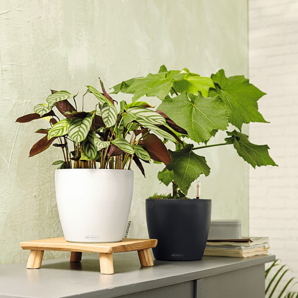 LECHUZA Macetero Classico Color 28 ALL-IN-ONE blanco brillante 13190 V1904 Vetonek