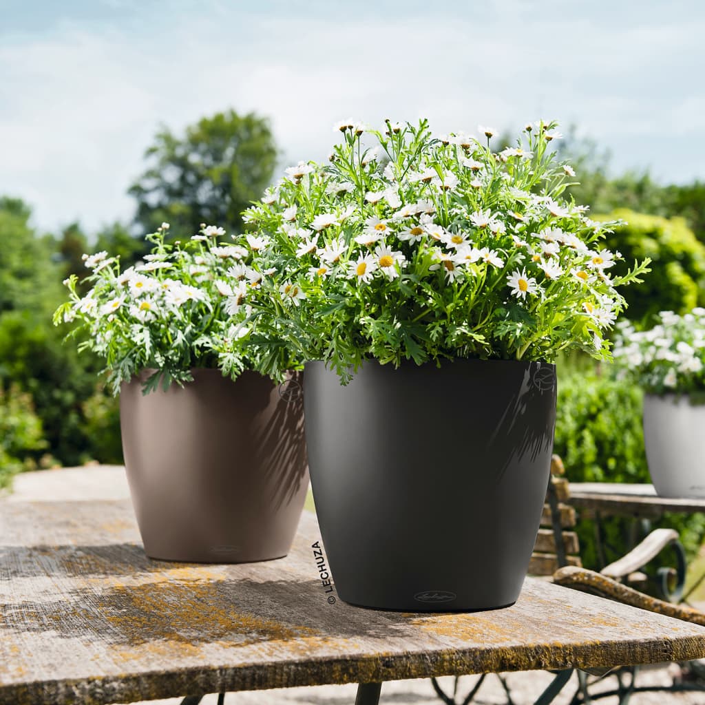 LECHUZA Macetero Classico Color 28 ALL-IN-ONE gris pizarra 13204 V2048 Vetonek