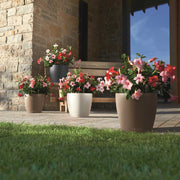 LECHUZA Macetero Classico Color 43 ALL-IN-ONE gris pizarra 13224 V2444 Vetonek