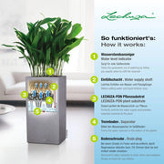 LECHUZA Macetero CANTO Stone 30 High ALL-IN-ONE gris piedra V6008 Vetonek