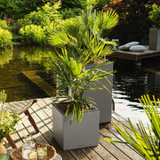 LECHUZA Jardinera CANTO Stone 40 LED High ALL-IN-ONE gris 40x40 cm V6404 Vetonek