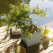 LECHUZA Jardinera CANTO Stone 40 LED Low ALL-IN-ONE gris 40x40 cm V6909 Vetonek