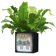 LECHUZA Macetero Canto Color Square 40 ALL-IN-ONE grafito 13722 V7227 Vetonek