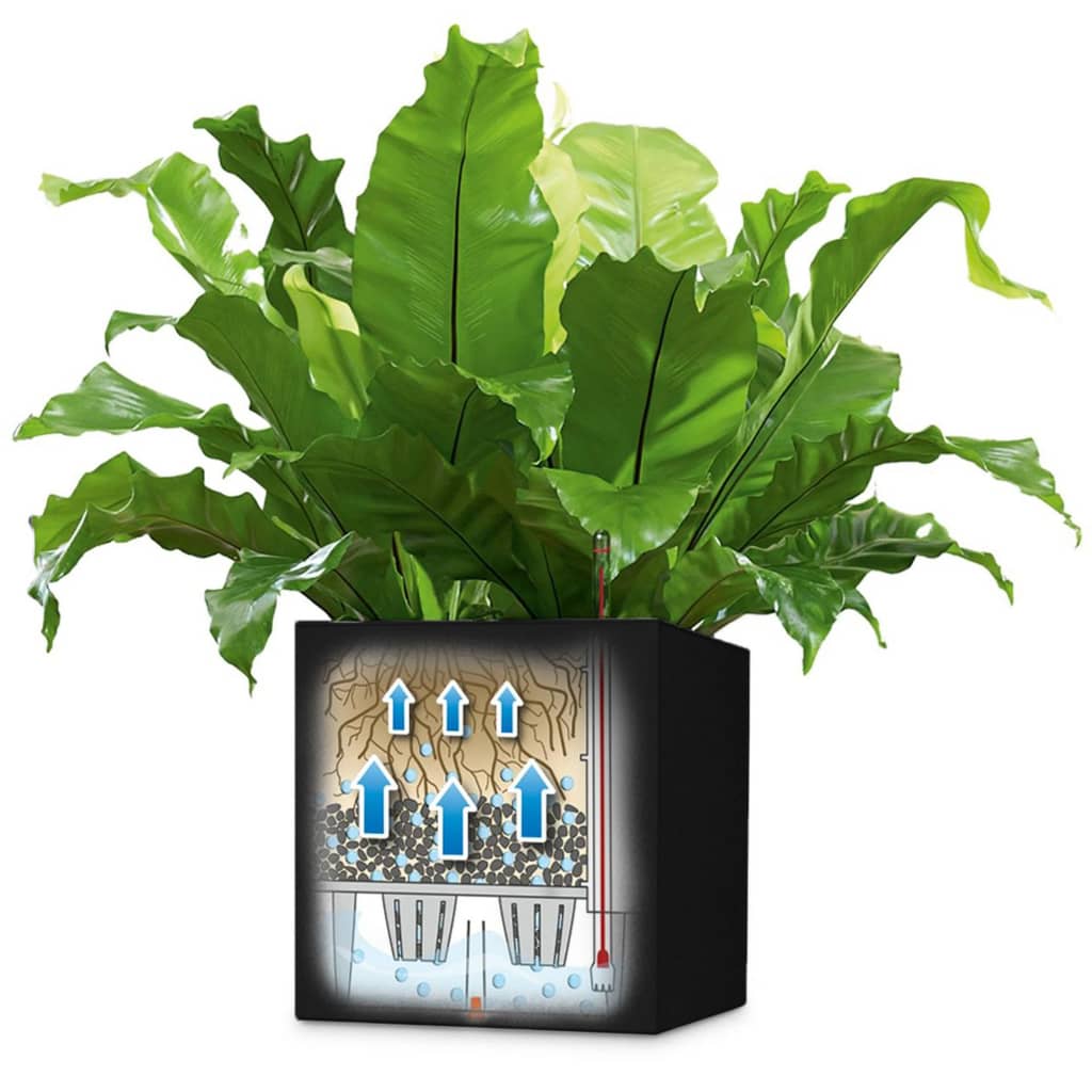 LECHUZA Macetero Canto Color Square 40 ALL-IN-ONE grafito 13722 V7227 Vetonek