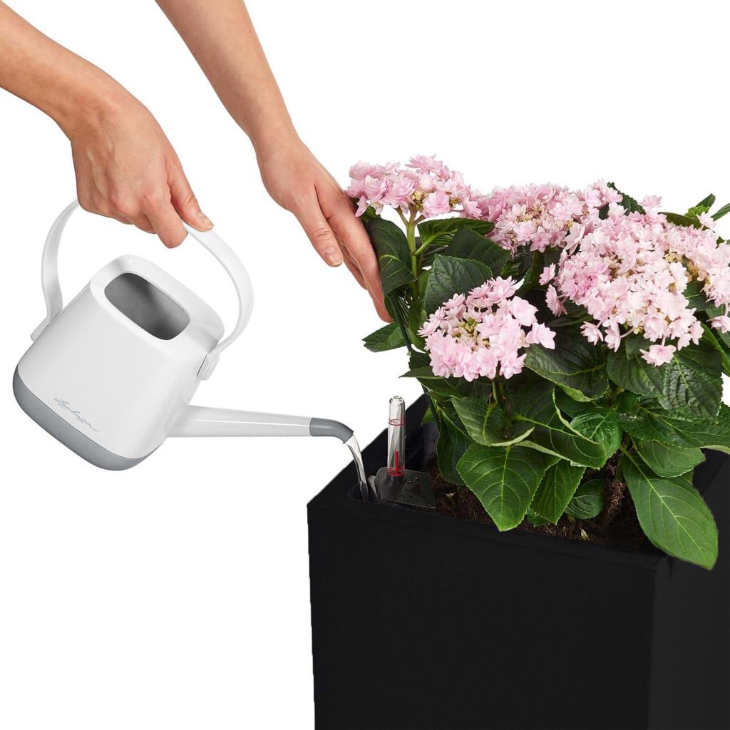 LECHUZA Macetero Canto Color Square 40 ALL-IN-ONE grafito 13722 V7227 Vetonek