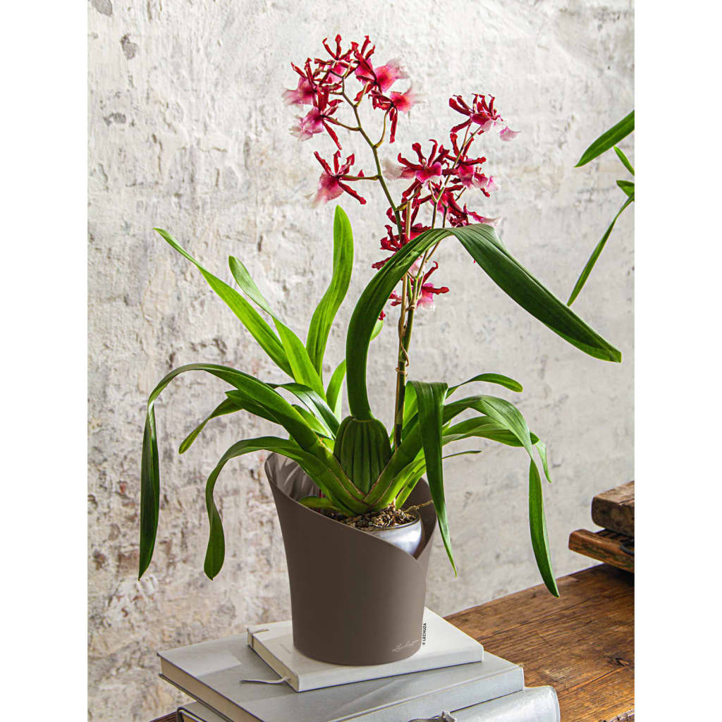 LECHUZA Jardinera ORCHIDEA ALL-IN-ONE gris taupe Ø 18 cm V9658 Vetonek