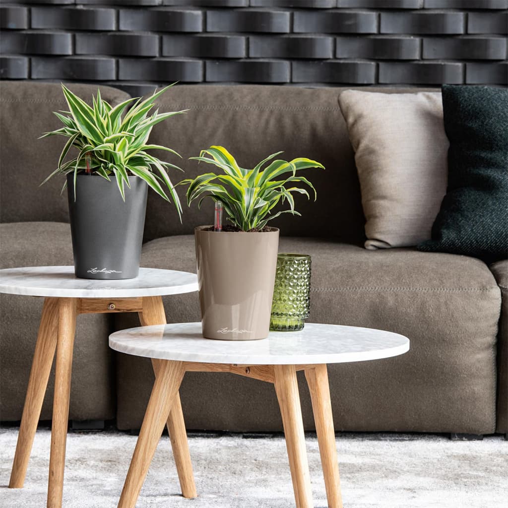 LECHUZA Maceta DELTINI ALL-IN-ONE carbón metálico V9039 Vetonek