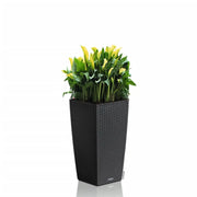 LECHUZA Macetero CUBICO Cottage 30 ALL-IN-ONE color granito V2220 Vetonek