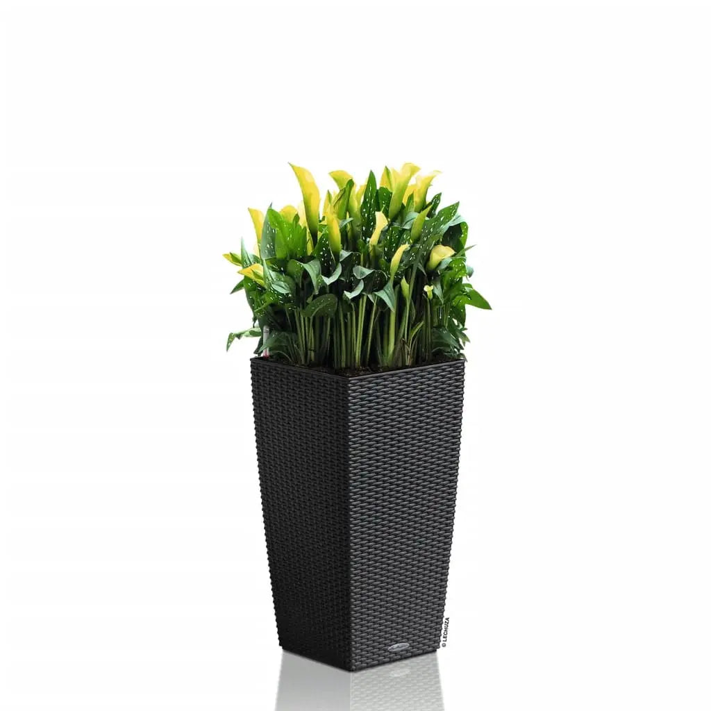 LECHUZA Macetero CUBICO Cottage 30 ALL-IN-ONE color granito V2220 Vetonek