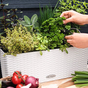 LECHUZA Jardinera BALCONERA Cottage 50 ALL-IN-ONE blanco V6006 Vetonek