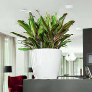 LECHUZA Macetero CLASSICO LS 35 ALL-IN-ONE blanco brillo 16060 V0607 Vetonek