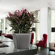 LECHUZA Macetero QUADRO LS 35 ALL-IN-ONE color carbón 16163 V1635 Vetonek