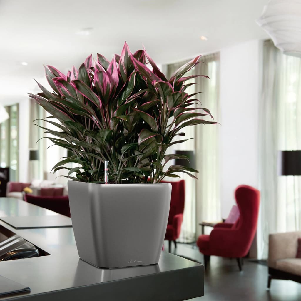 LECHUZA Macetero QUADRO LS 35 ALL-IN-ONE color carbón 16163 V1635 Vetonek