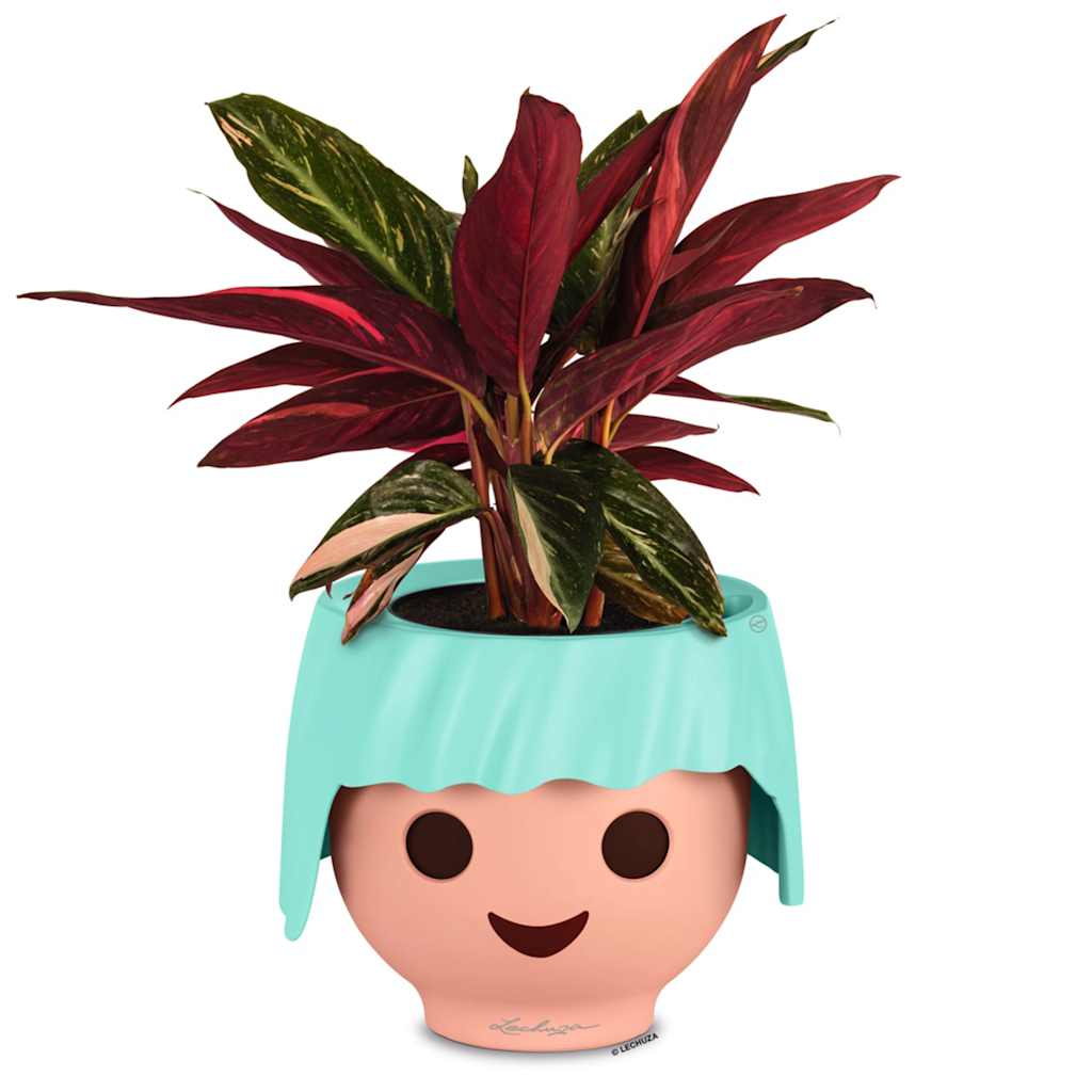 LECHUZA Jardinera de mesa OJO ALL-IN-ONE verde agua V0437 Vetonek