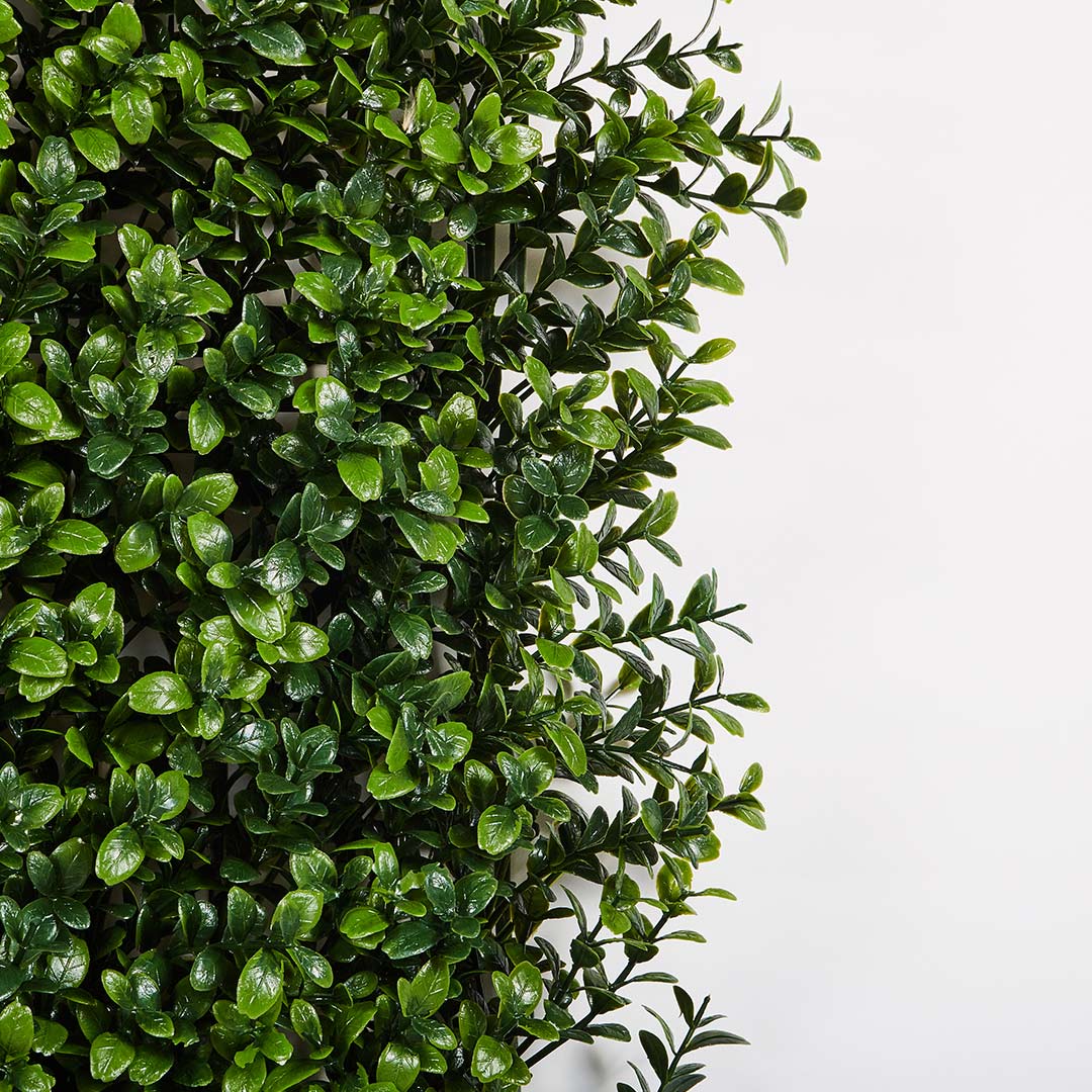 Rollo Jardín Vertical Boj - Decoración Natural y Versátil Vetonek