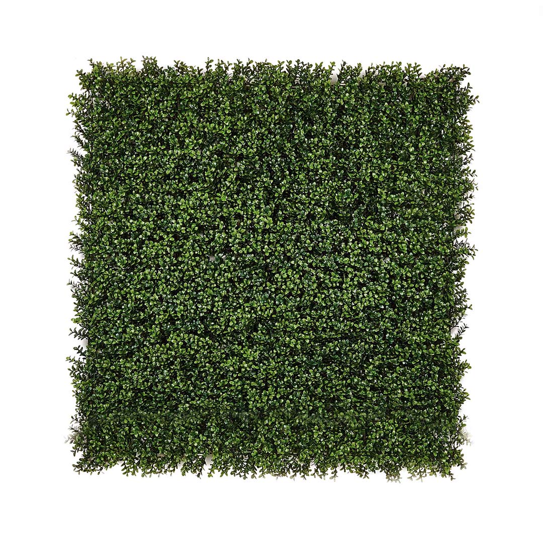 Rollo Jardín Vertical Boj - Decoración Natural y Versátil Vetonek